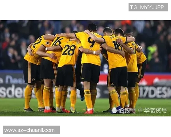 重磅专题：重庆极限运动队的防反革新